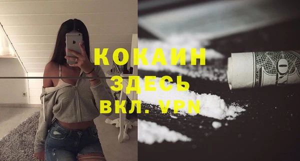 шишки Баксан