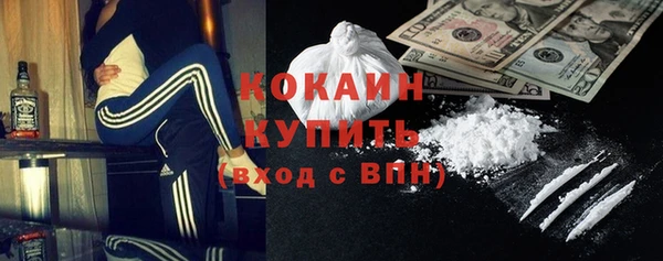 шишки Баксан