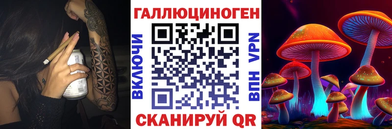Псилоцибиновые грибы ЛСД хочу Новоалександровск